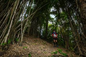 BIB: 
                            <button type="button" onclick="openModal(19396075)" class="btn btn-primary btn-sm float-right btn-popup" data-toggle="modal" data-target=".modal-high-quality">
                        <i class="fas fa-shopping-cart"></i> Add to Cart
                    </button>
                                            <button type="button" onclick="isThisMe(19396075, true)" class="btn btn-success btn-sm float-right btn-popup btn-isme hidden" data-toggle="tooltip" data-placement="bottom" title="นี่คือรูปของคุณใช่ไหม คลิกที่นี่เพื่อเอาเข้าอัลบั้ม">
                        <i class="fas fa-plus"></i> Add to album
                    </button>
                    <button type="button" onclick="isThisMe(19396075, false)" class="btn btn-warning btn-sm float-right btn-popup btn-isnotme hidden">
                        <i class="fas fa-ban"></i> Remove from album
                    </button>